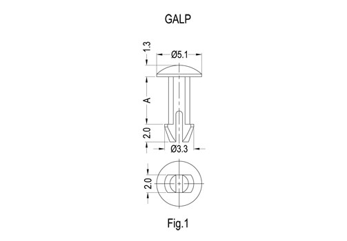 GALP&GALP100 2D 503X350.jpg